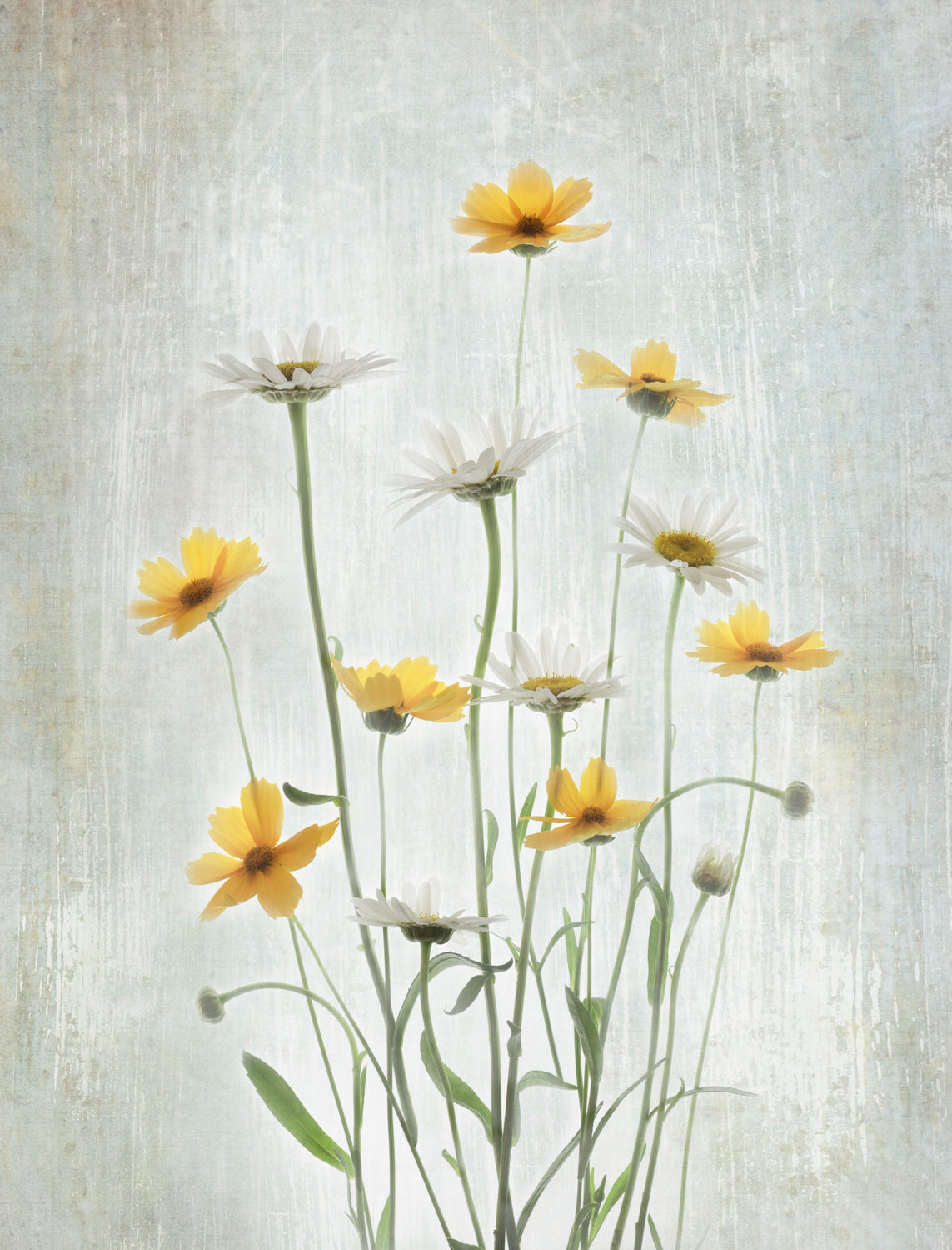 Summer Flowers Poster och Canvastavla