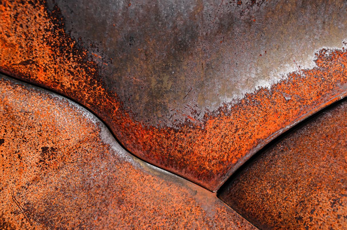 1950 GMC Truck Hood Detail, #145 Poster och Canvastavla
