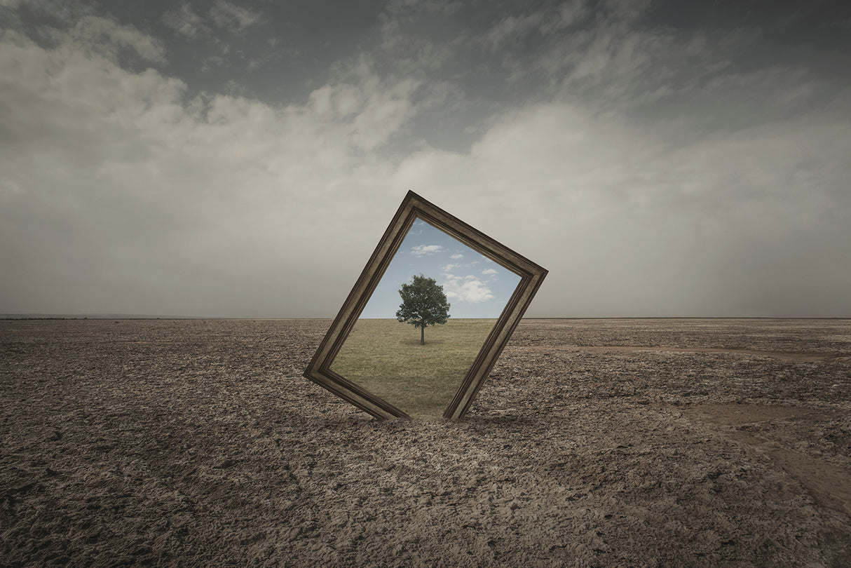 Future Of Nature Poster och Canvastavla