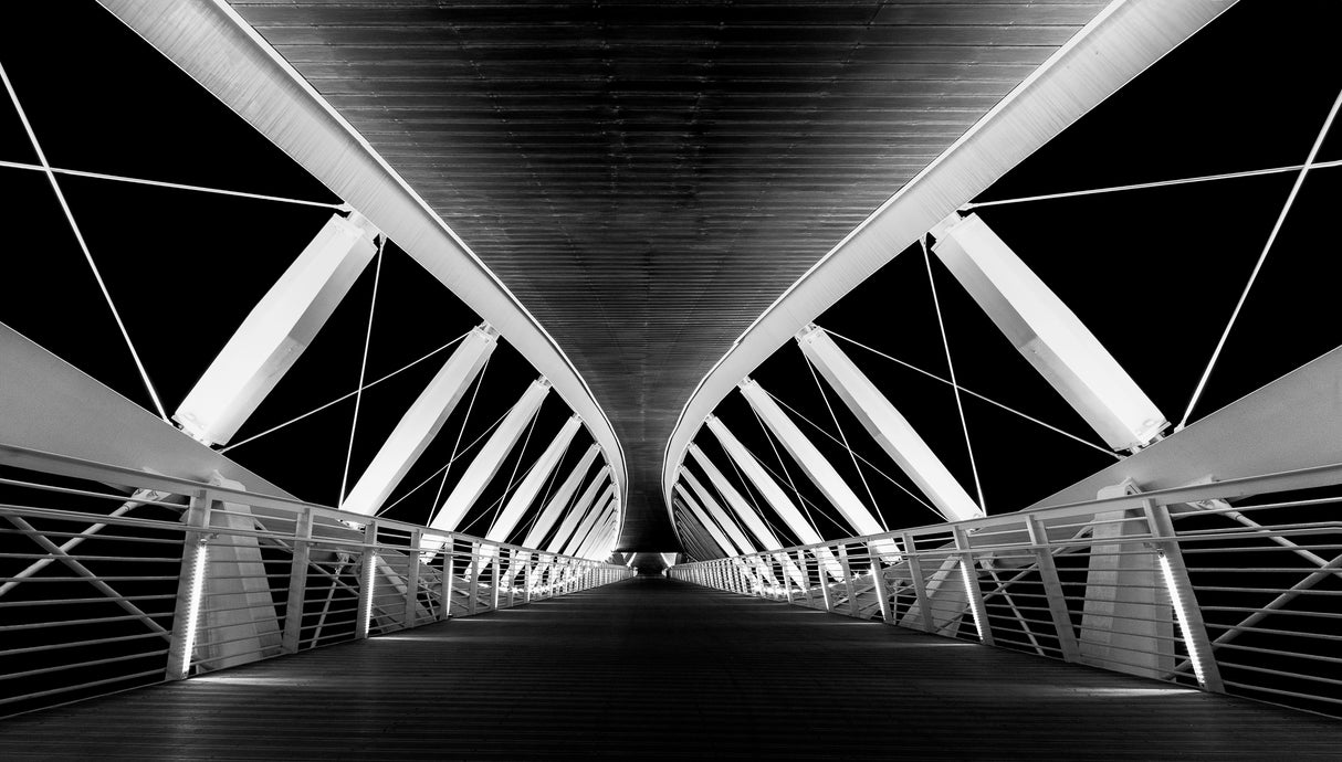 The bridge Poster och Canvastavla