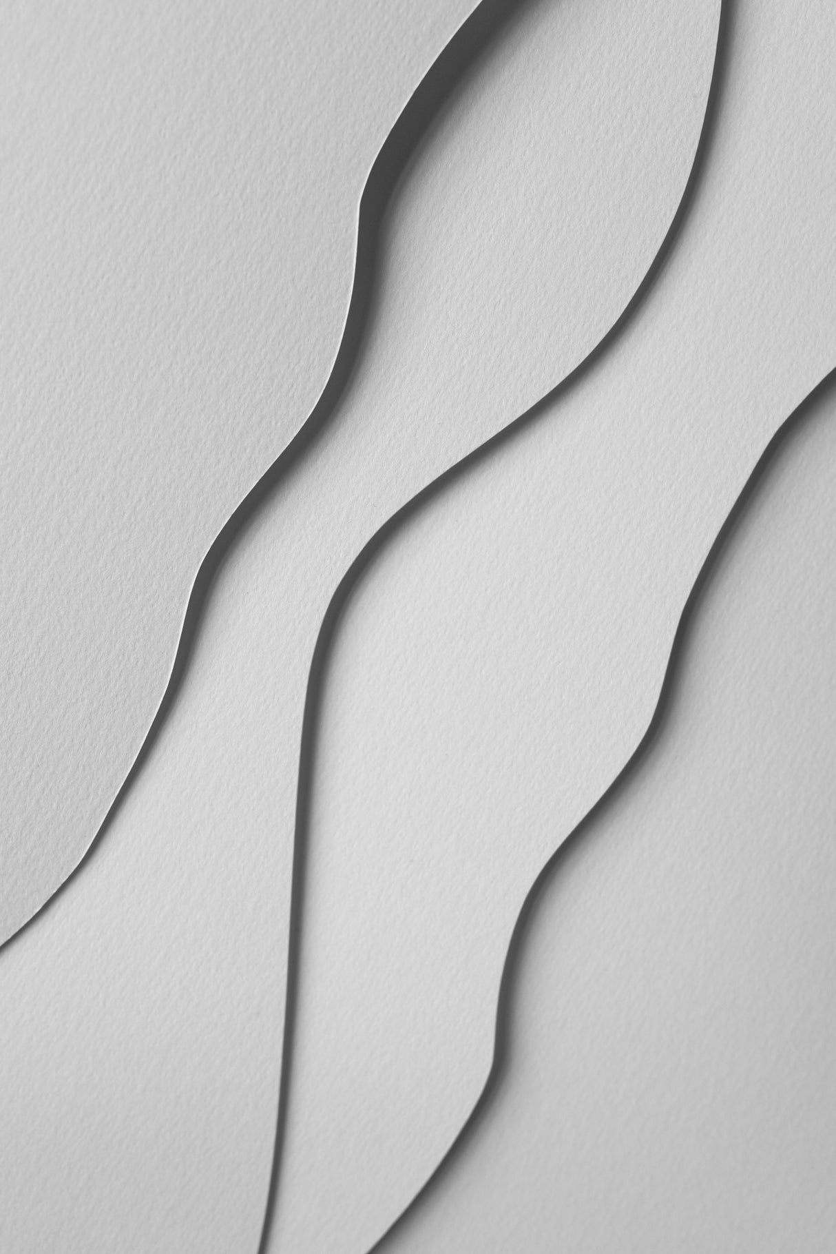 Paper Studies 28 Poster och Canvastavla