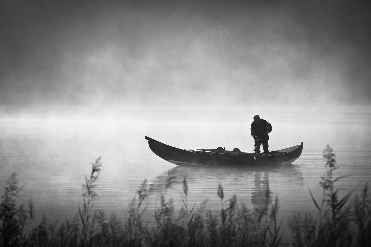Foggy morning Poster och Canvastavla