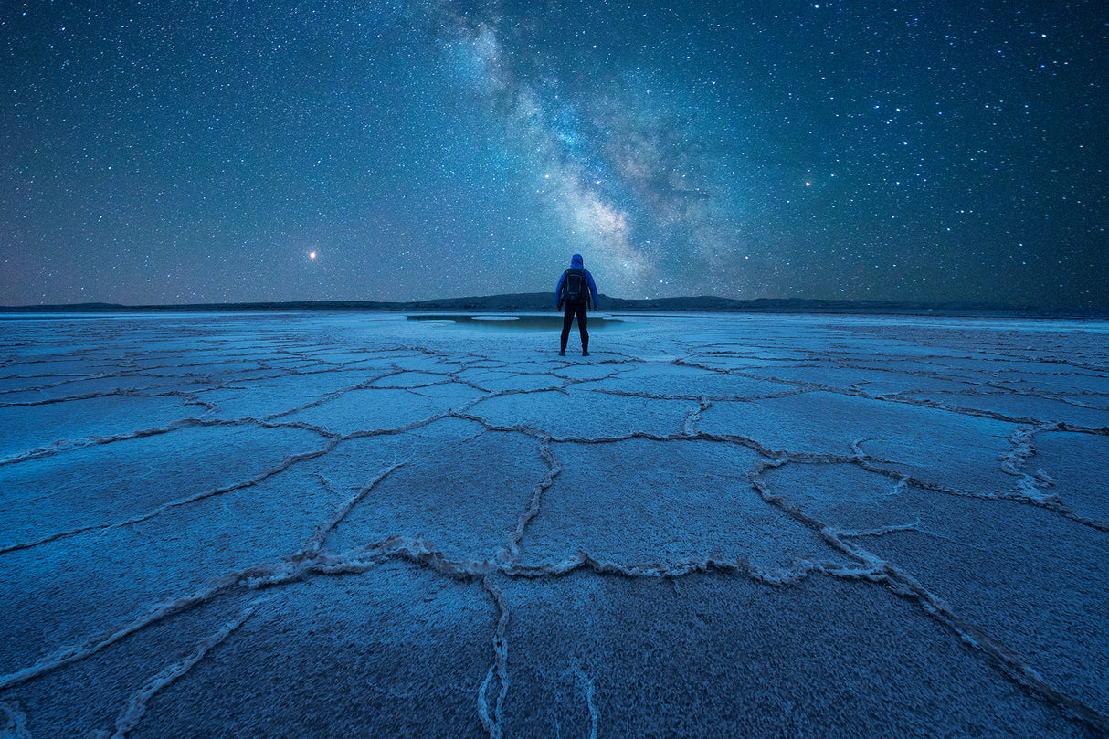 A starry night Poster och Canvastavla