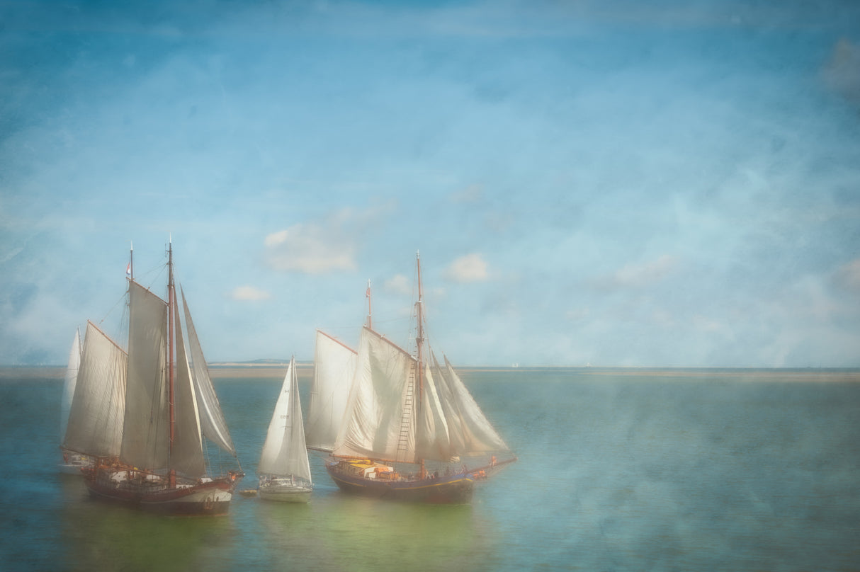 Sailing home......... Poster och Canvastavla