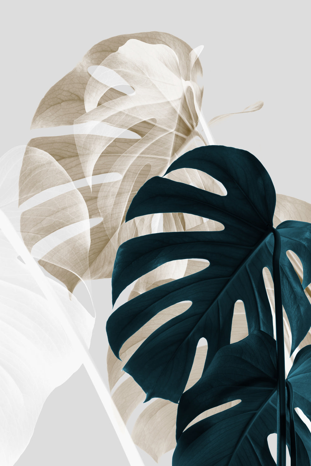 Monstera Creative 05 Poster och Canvastavla