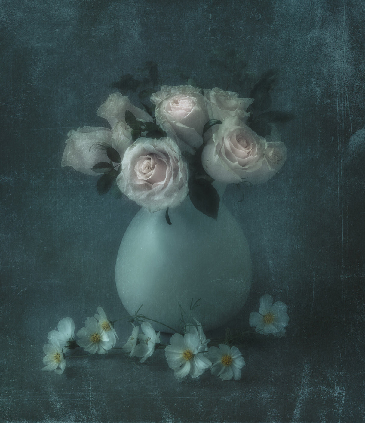Old roses Poster och Canvastavla