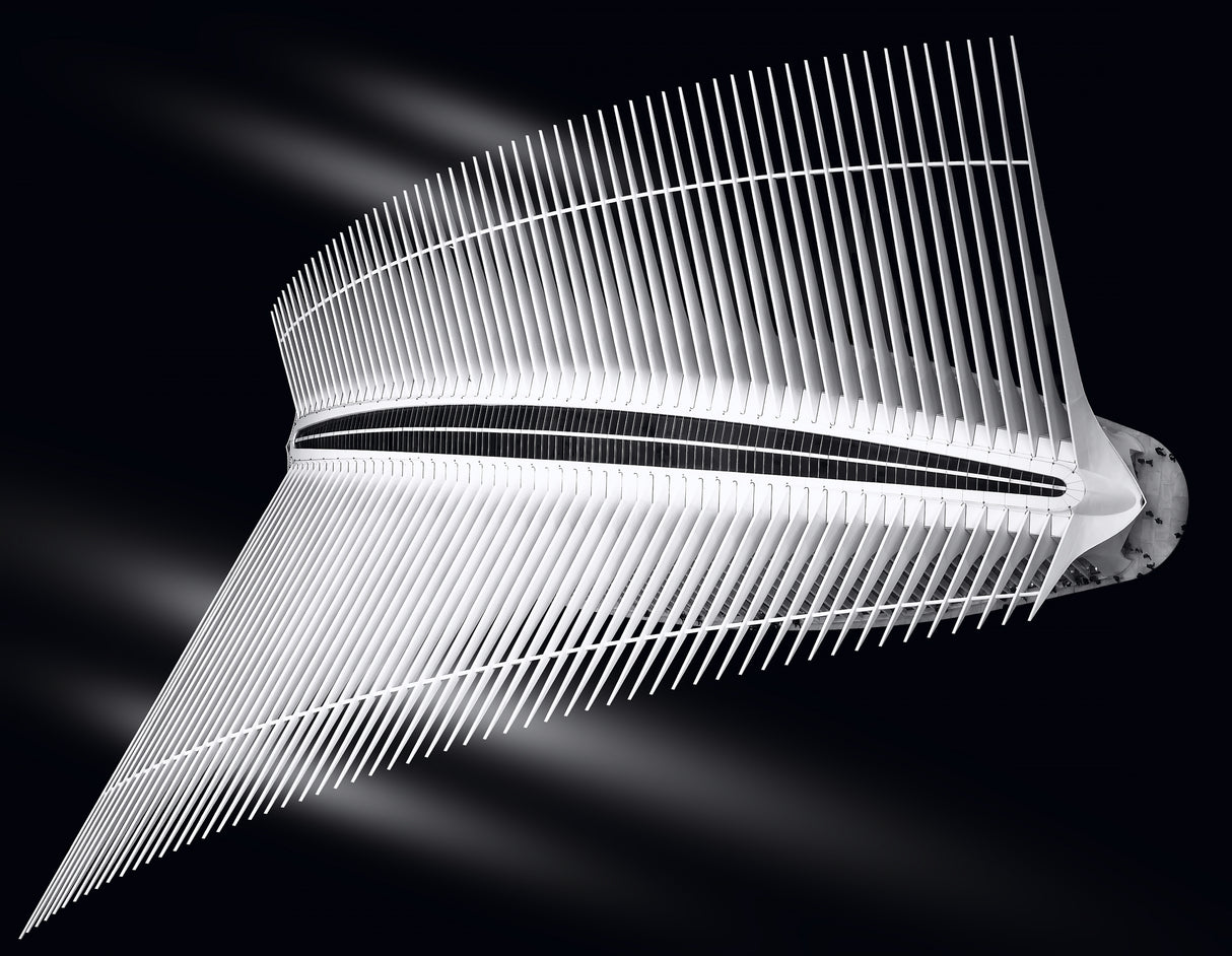 The flight of The Oculus Poster och Canvastavla