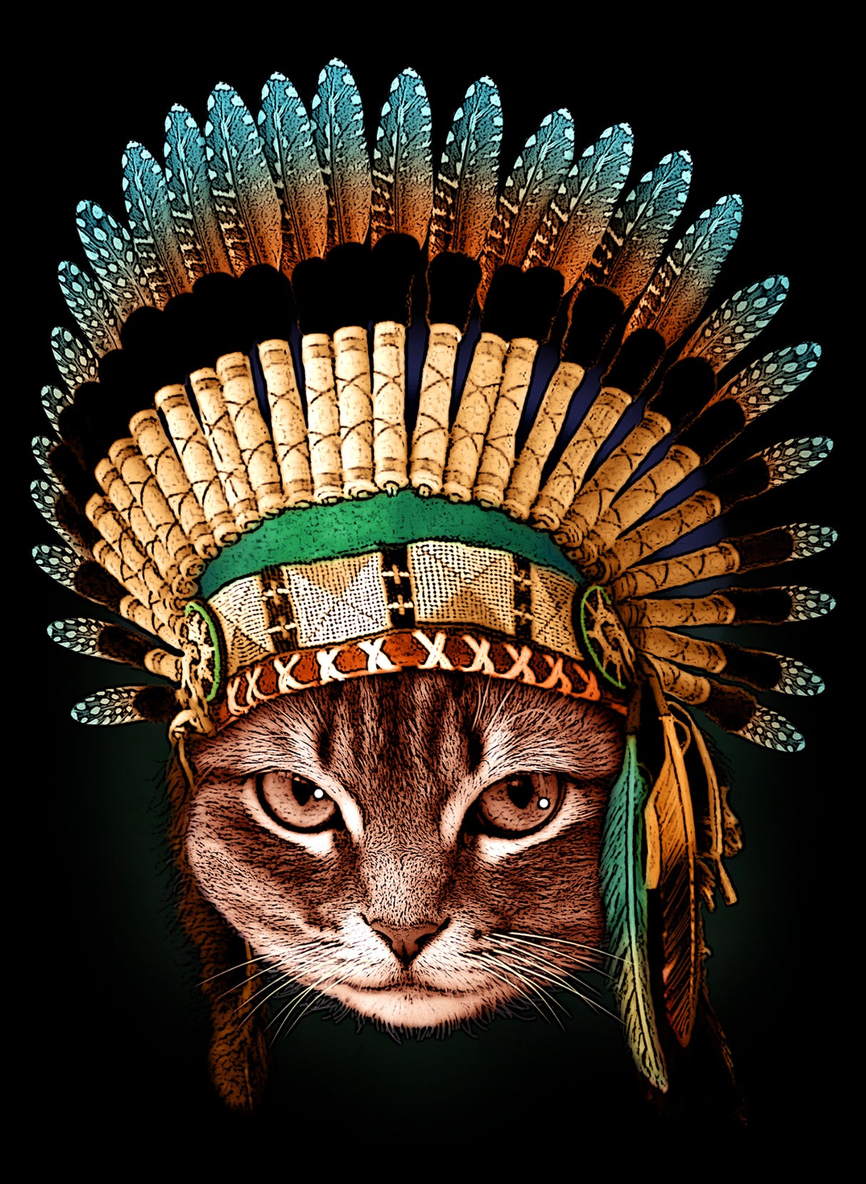 chief cat Poster och Canvastavla