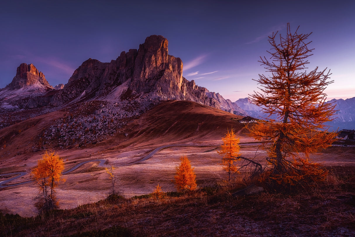 Frozen morning in Dolomites Poster och Canvastavla