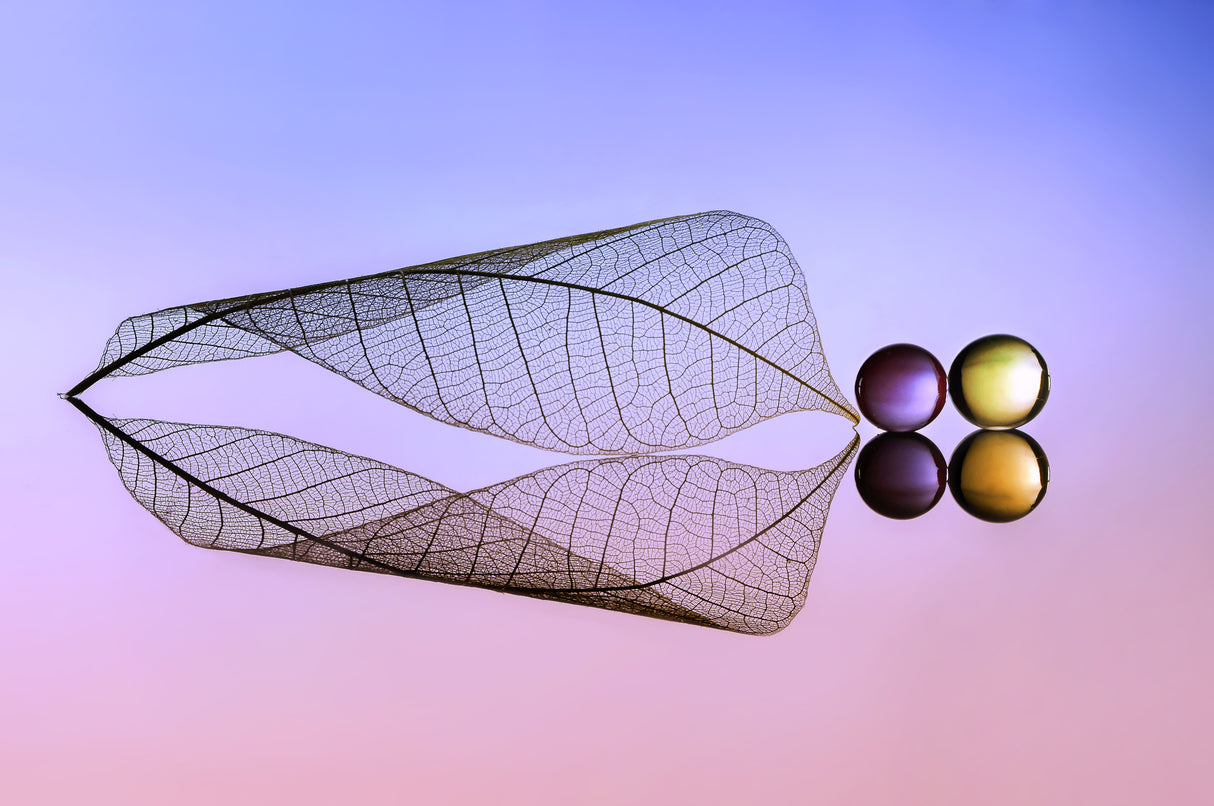 Two Droplets Poster och Canvastavla