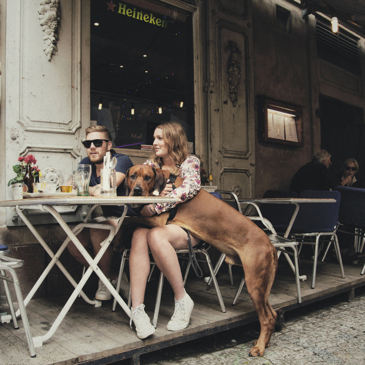 me, you and the dog Poster och Canvastavla