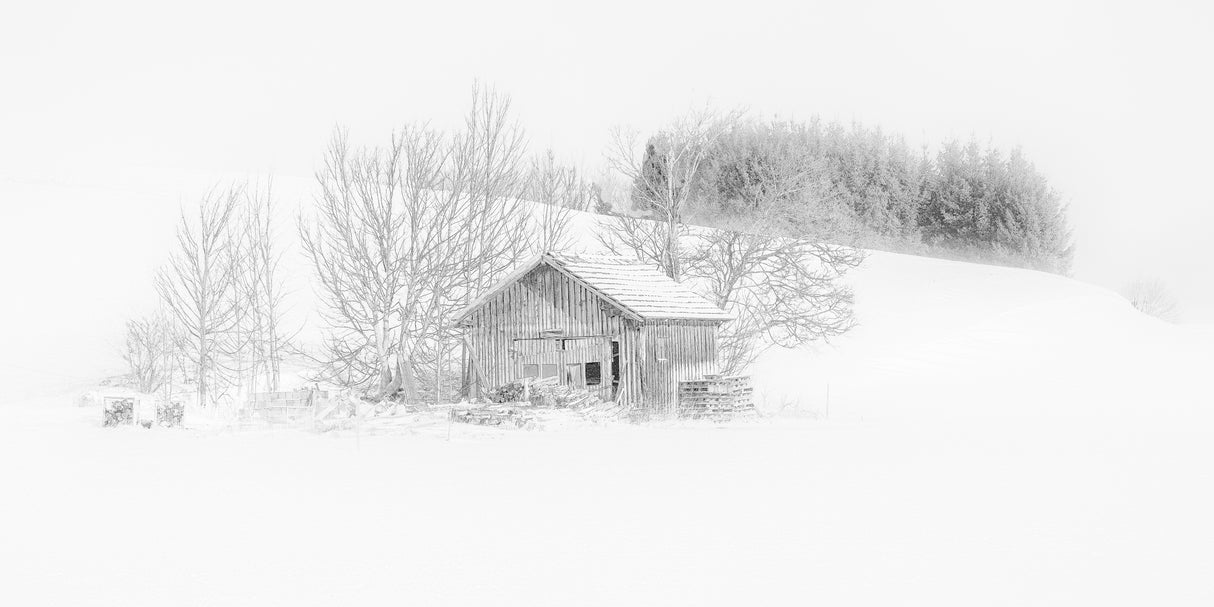 In a misty snowworld Poster och Canvastavla
