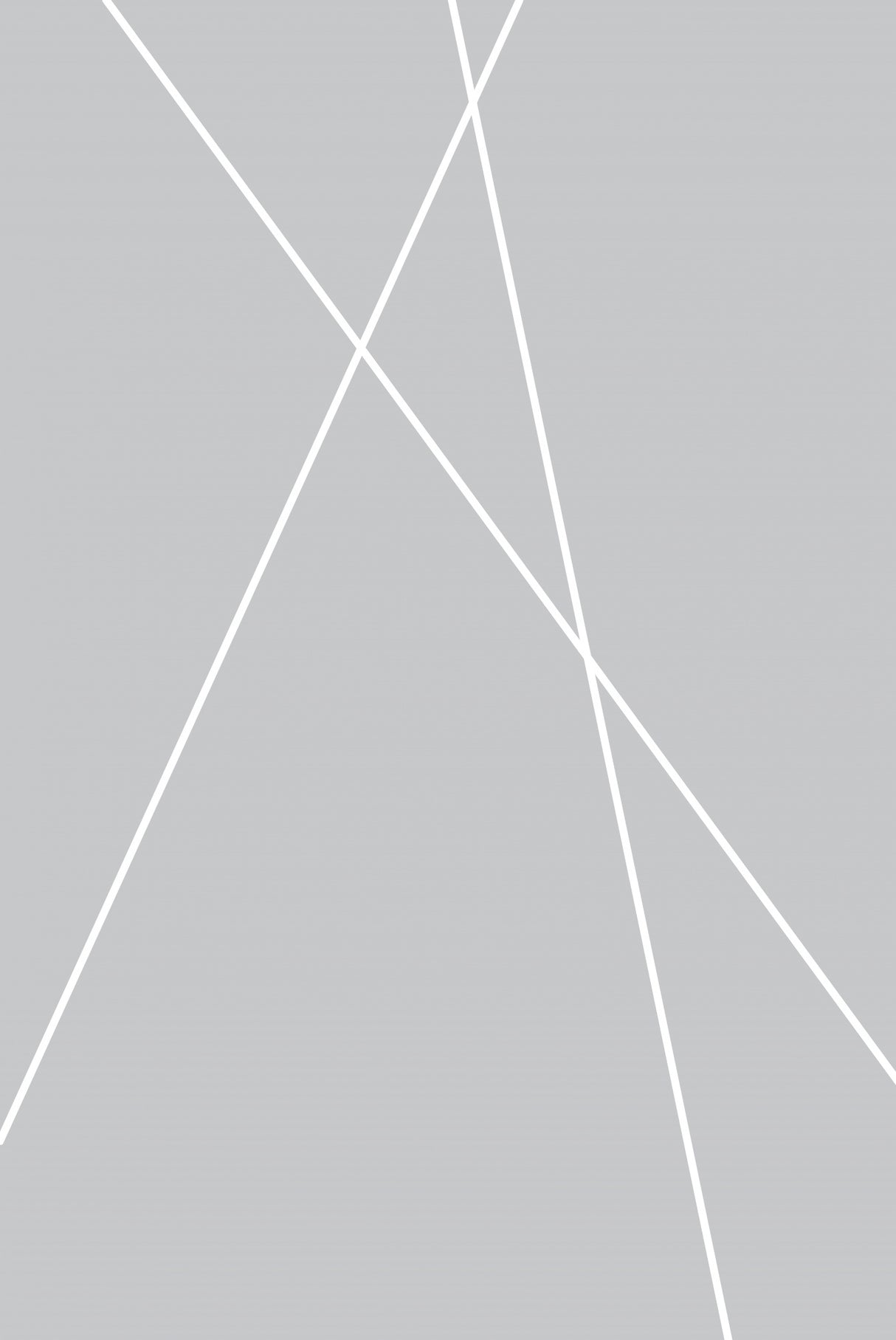 Grayline1f Oju 2x3 Poster och Canvastavla