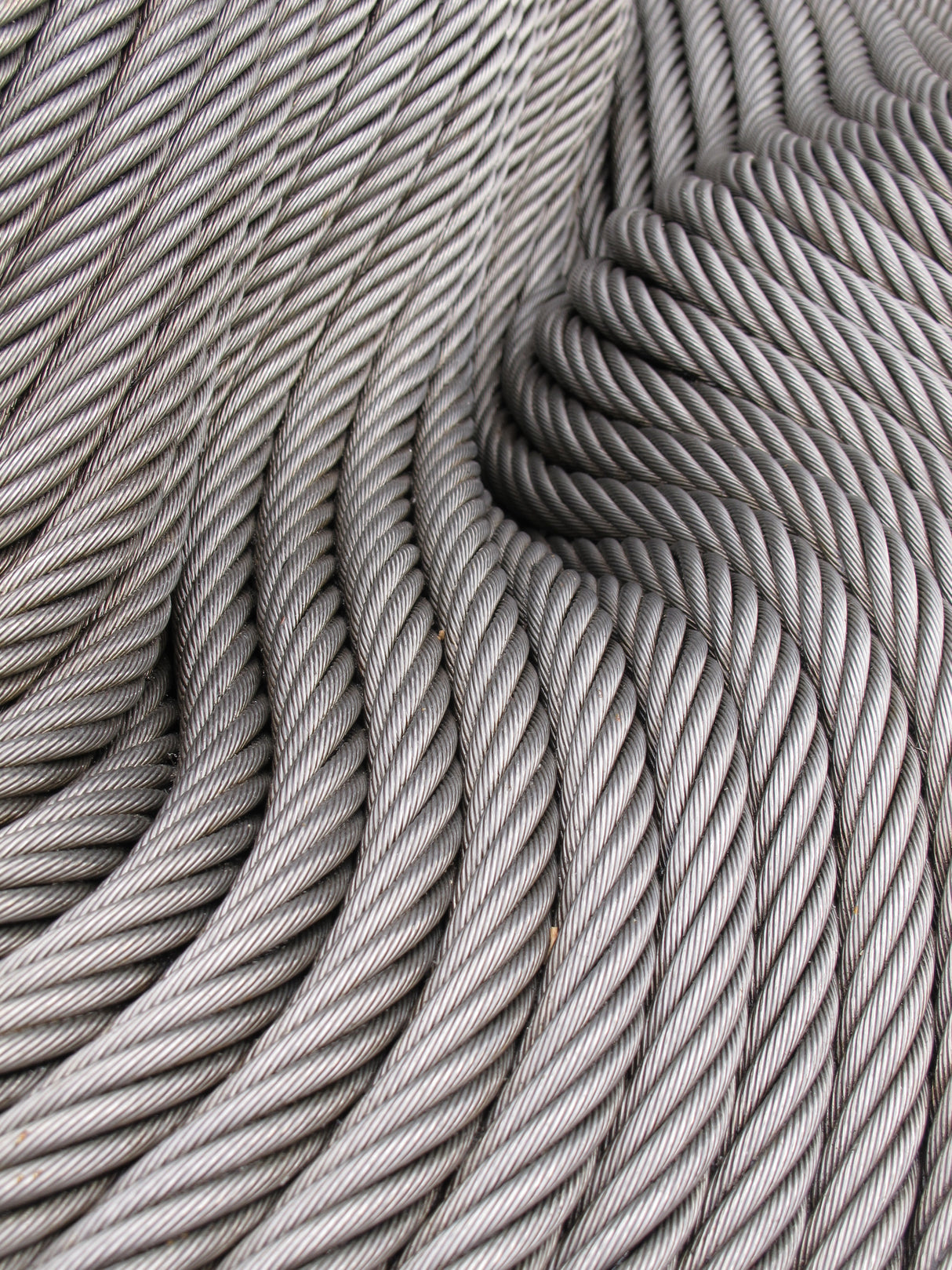 ROPES Poster och Canvastavla