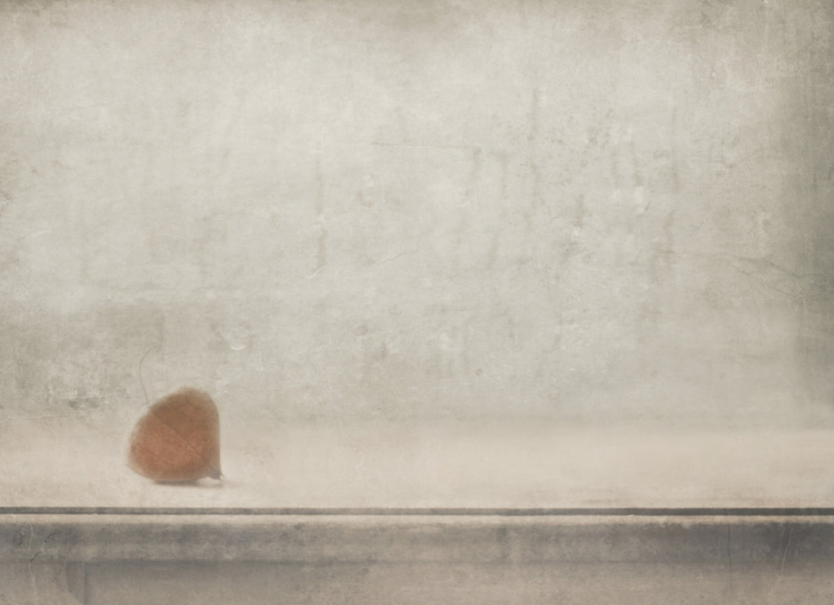 Solitude stands by the window Poster och Canvastavla