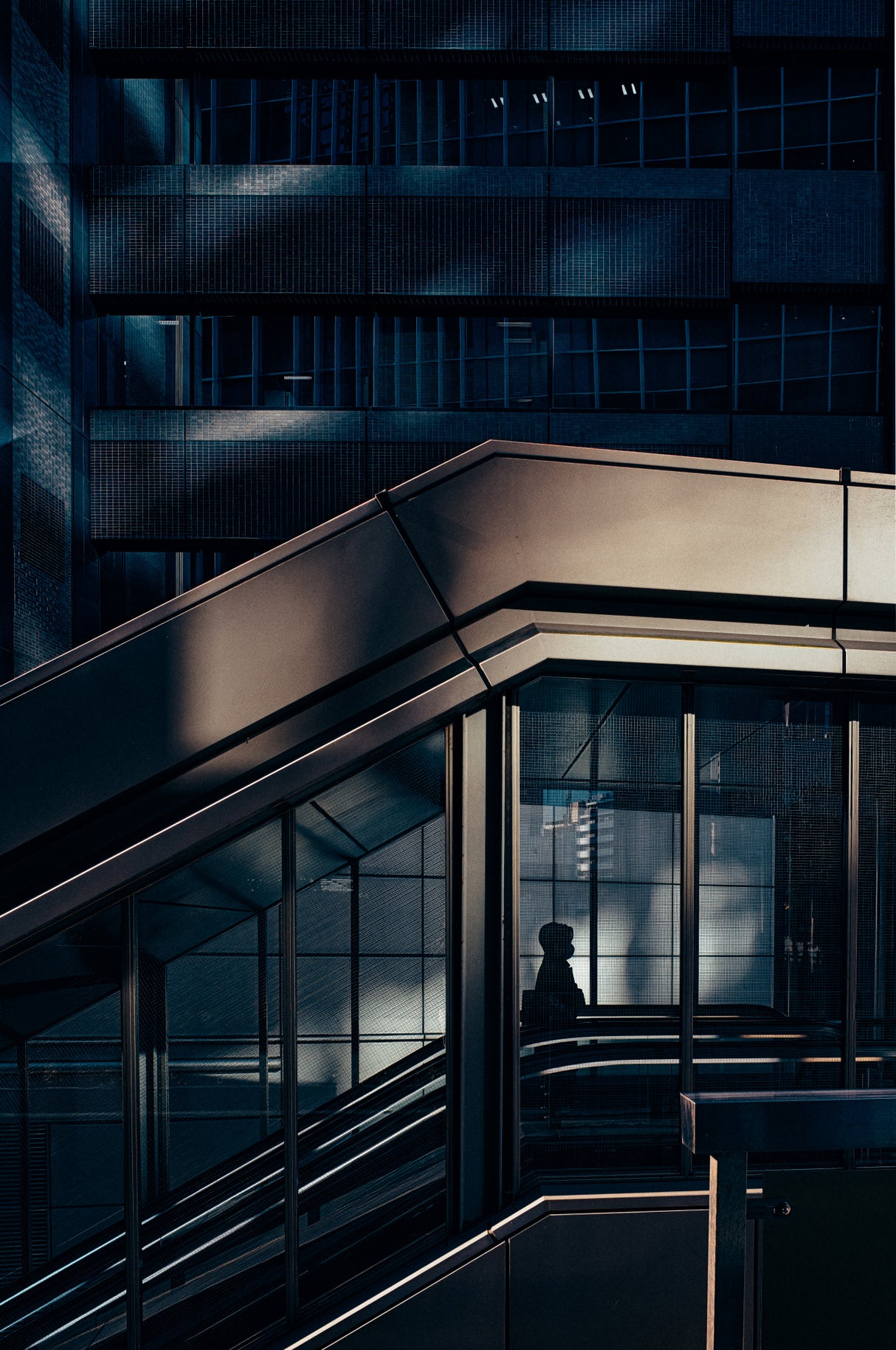 Shinjuku Lights& Shadows Poster och Canvastavla