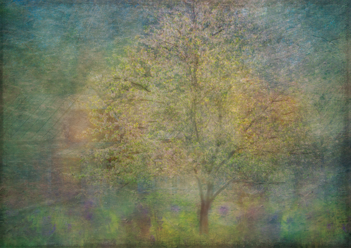 Impressions of a tree Poster och Canvastavla