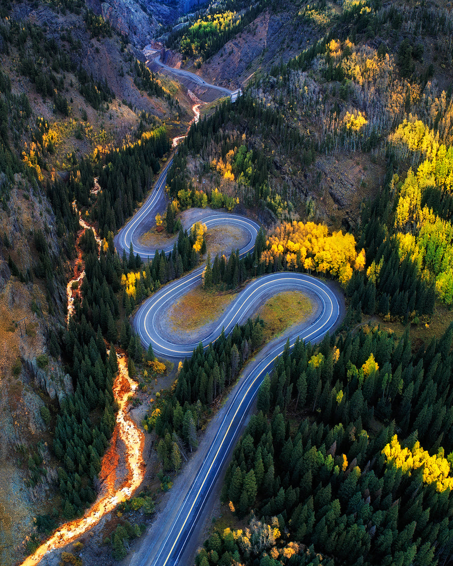Autumn Curves Poster och Canvastavla