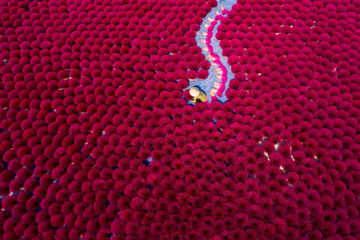Burning incense sticks Poster och Canvastavla
