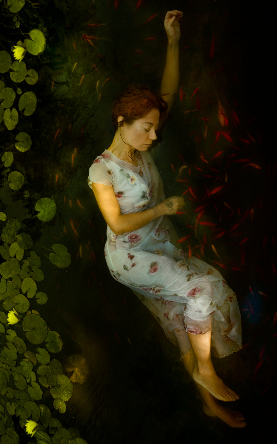 In the Pond Poster och Canvastavla