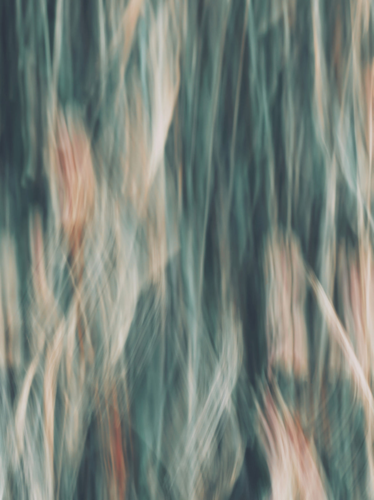 Impressionist Flowers Poster och Canvastavla