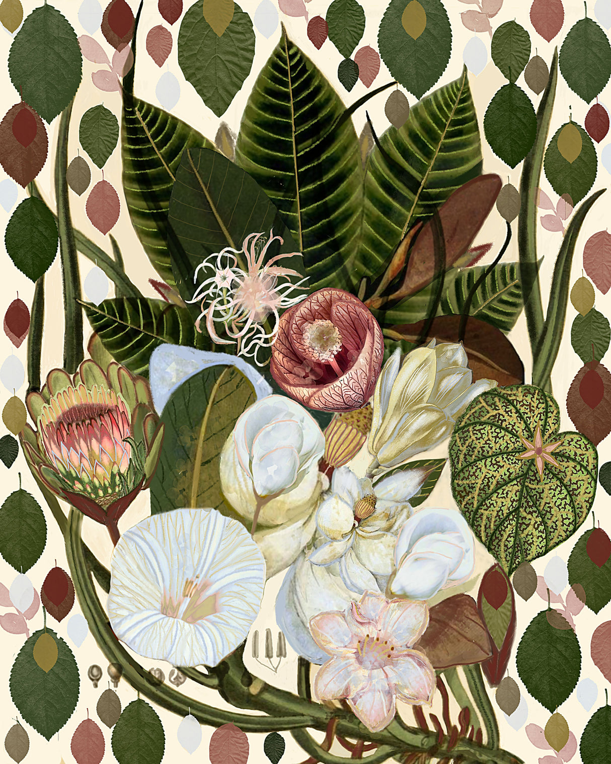 Earthy Blooms.png Poster och Canvastavla