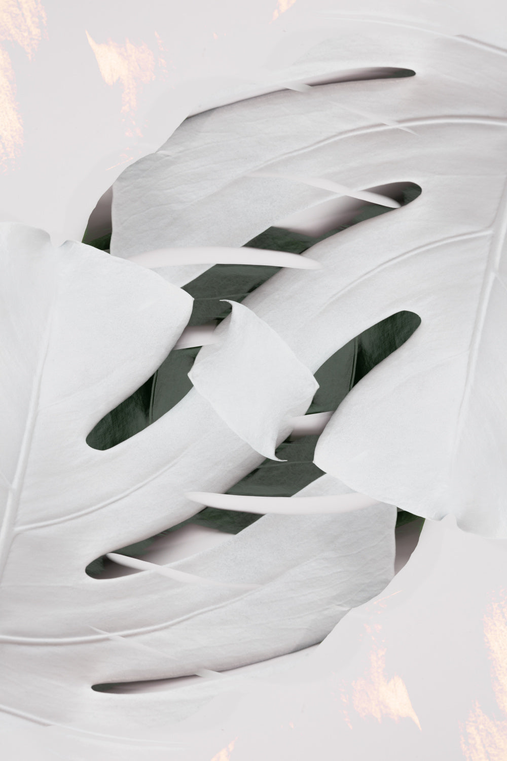 Monstera White 02 Poster och Canvastavla