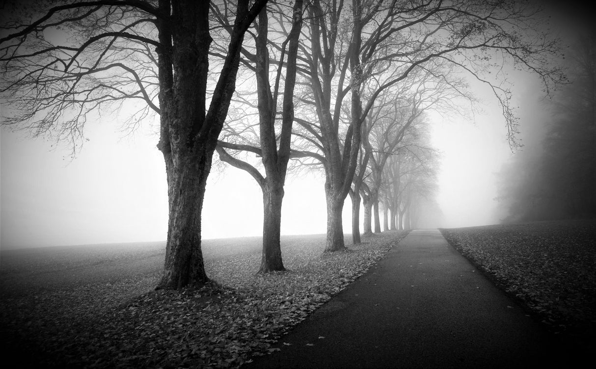 November mood Poster och Canvastavla