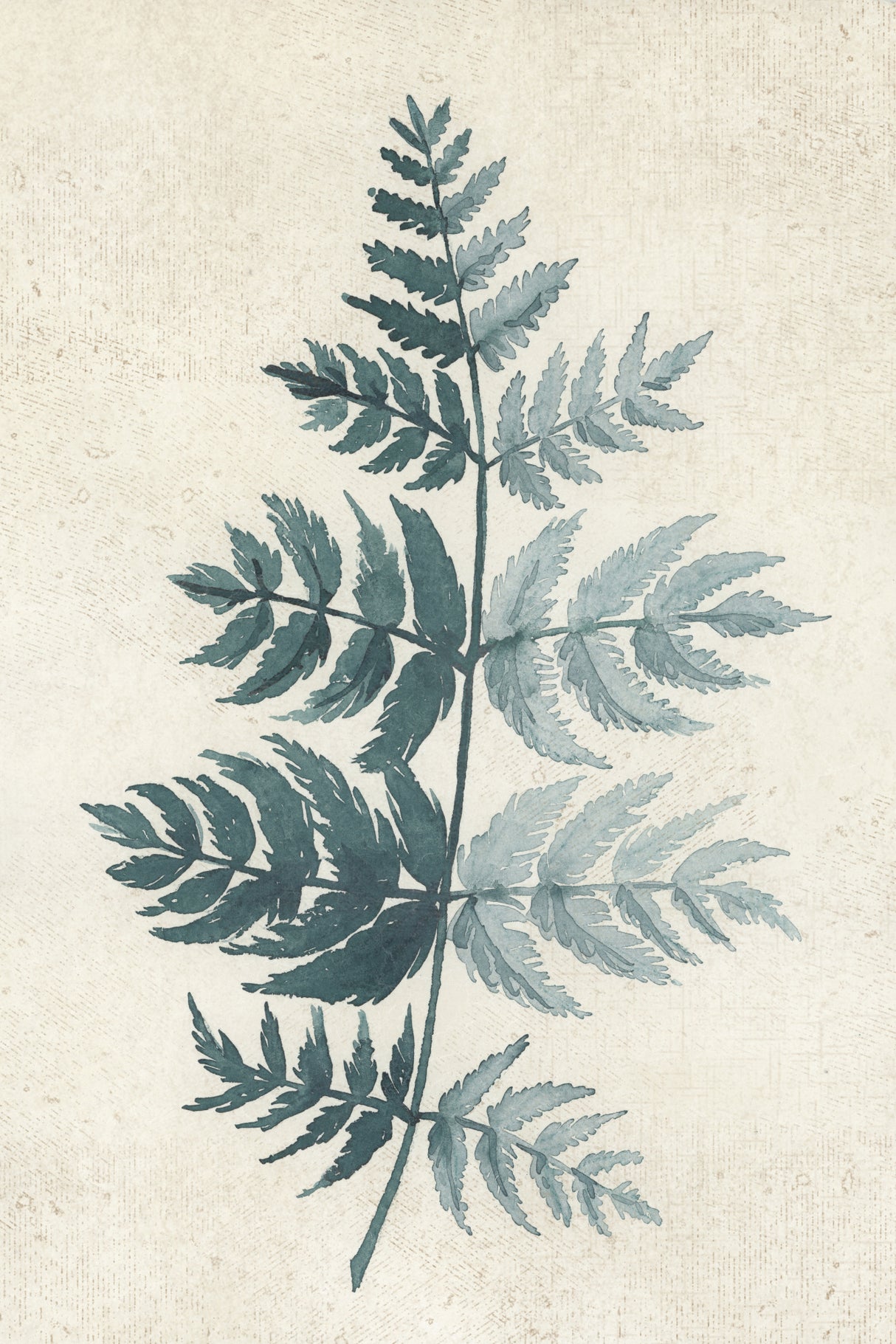 Teal watercolor fern 4 Poster och Canvastavla