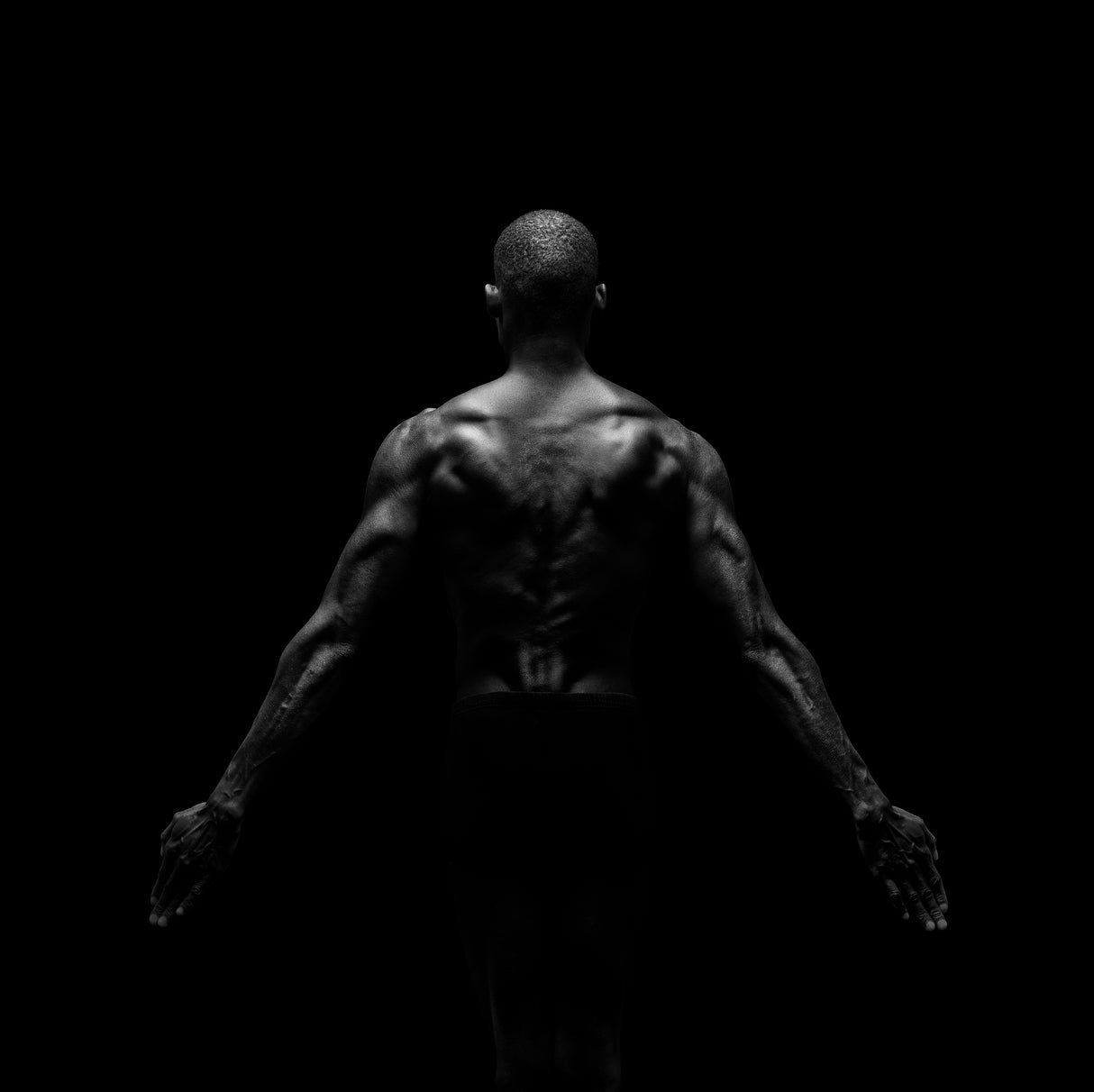 Black Back 2 Poster och Canvastavla