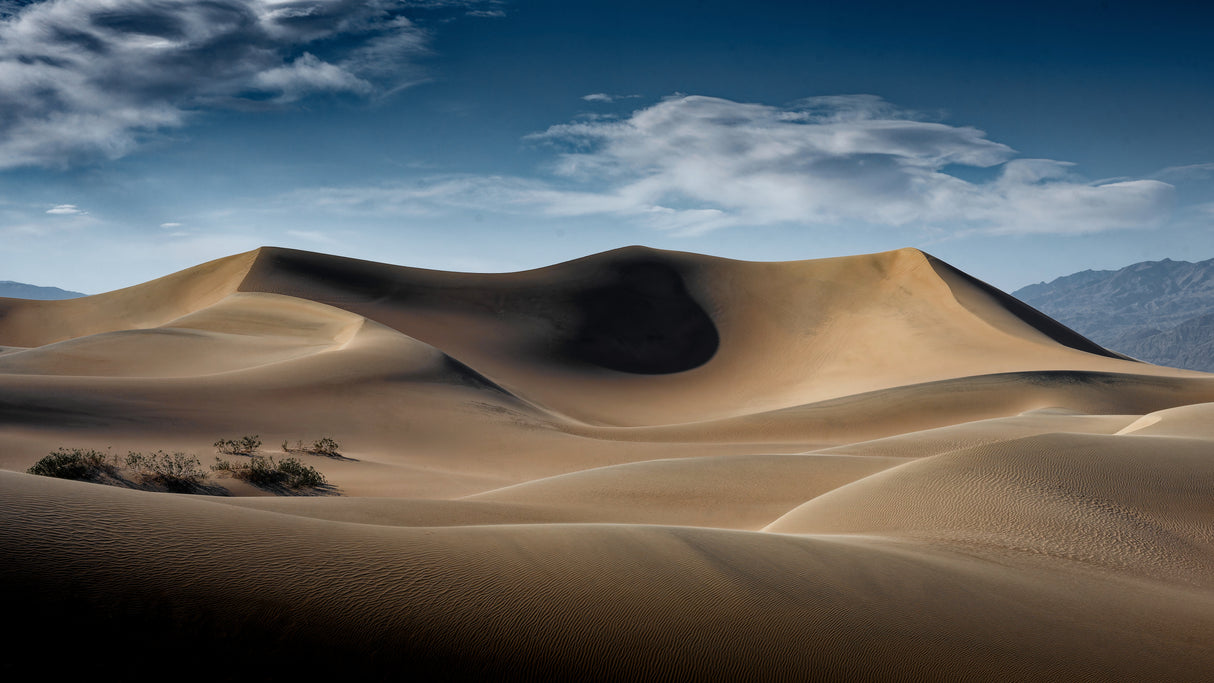 Dunes, Death Valley, CA Poster och Canvastavla