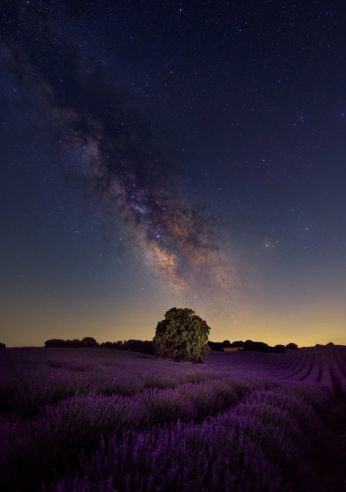 Milky Way dreams Poster och Canvastavla