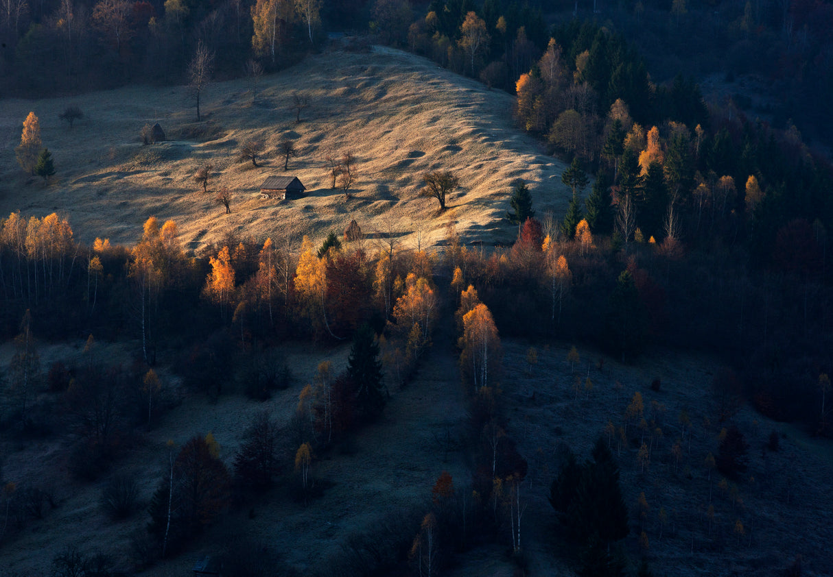 Morning on the hills III Poster och Canvastavla
