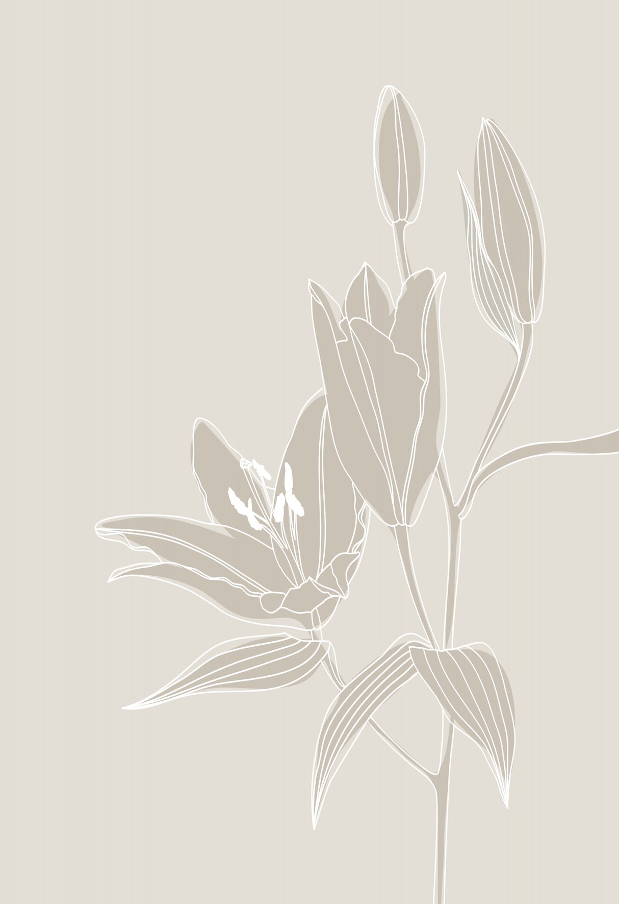Line art lillies in white Poster och Canvastavla