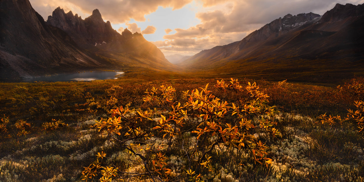 Wild Mountain Sunset Poster och Canvastavla