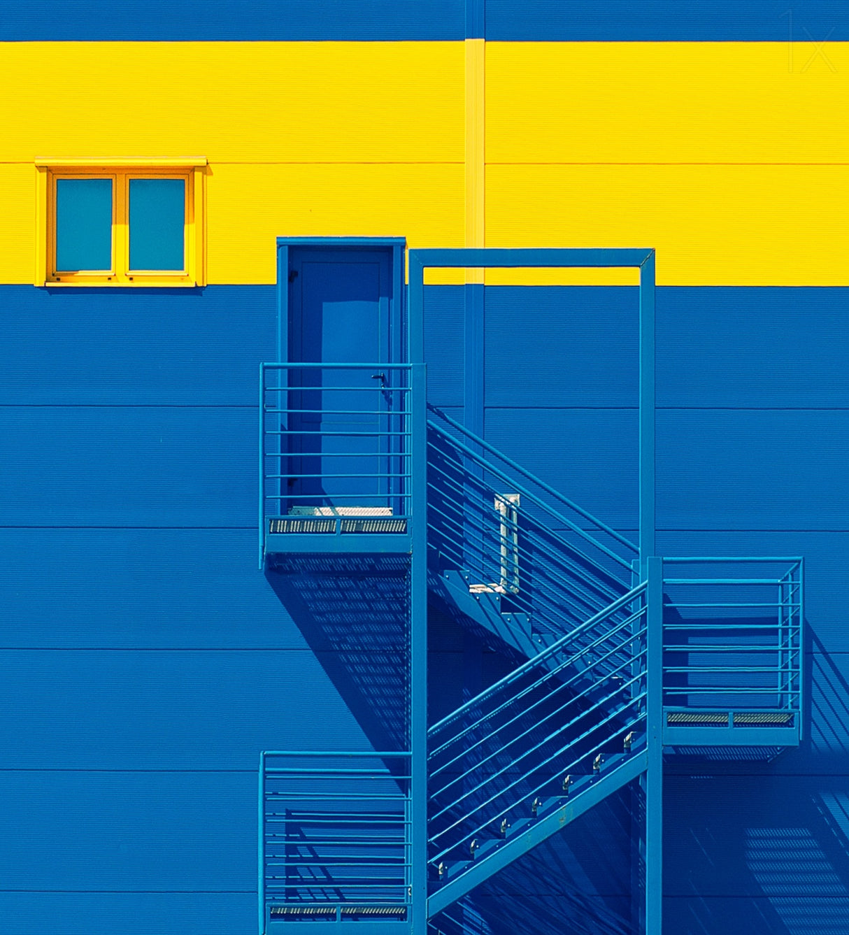 blue yellow Poster och Canvastavla