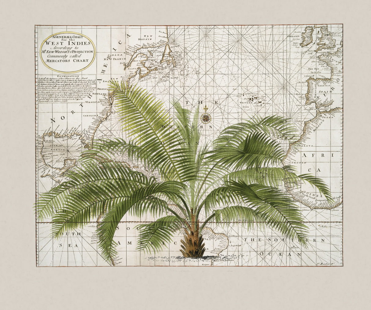 Tropical Empire No1 Poster och Canvastavla