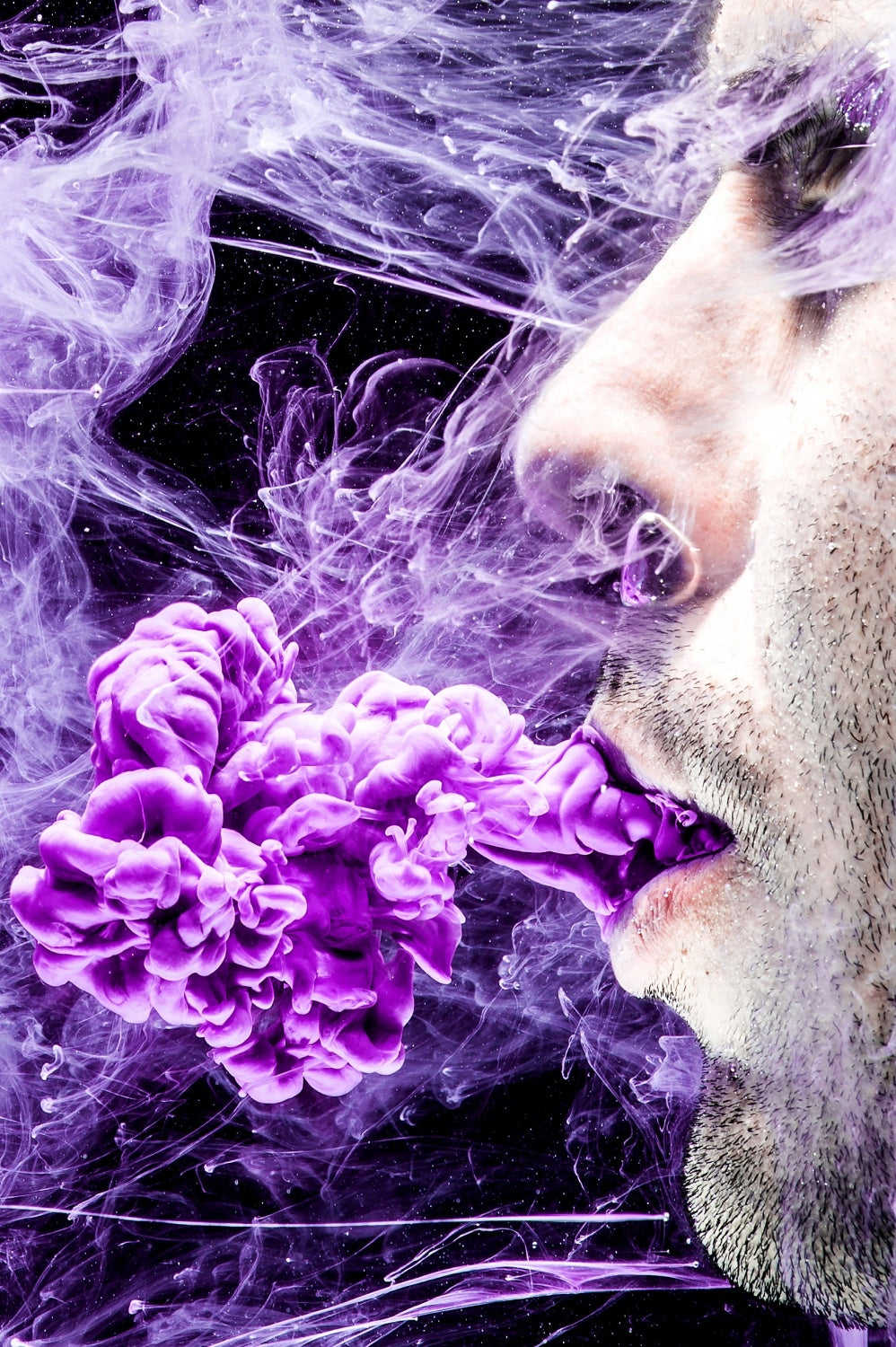 Purple Haze Poster och Canvastavla