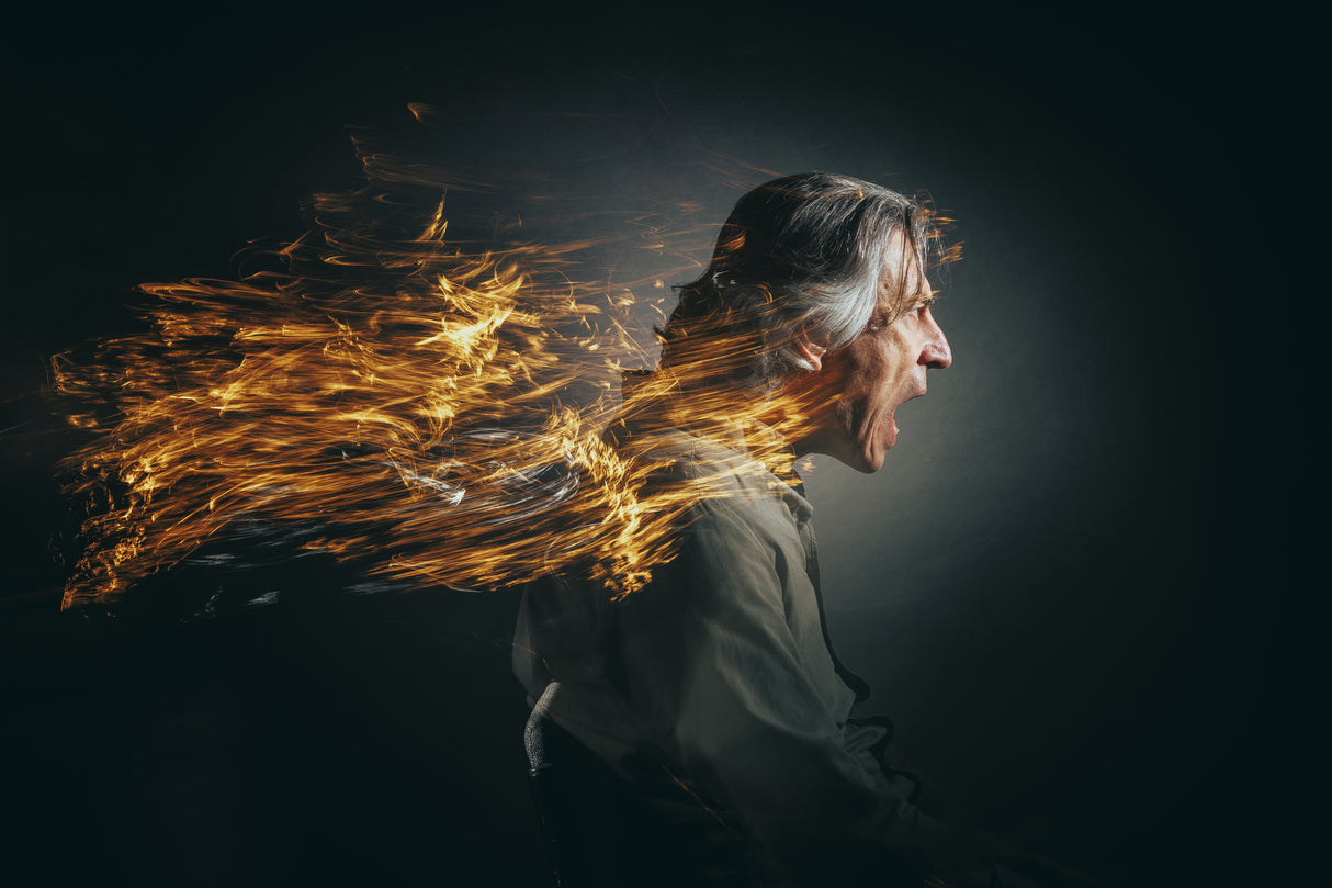 Anger. Poster och Canvastavla