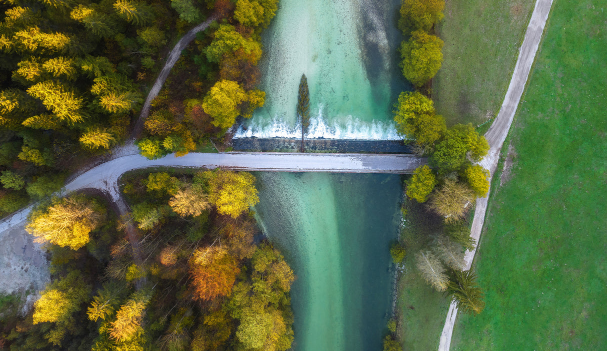 Autumn river Poster och Canvastavla