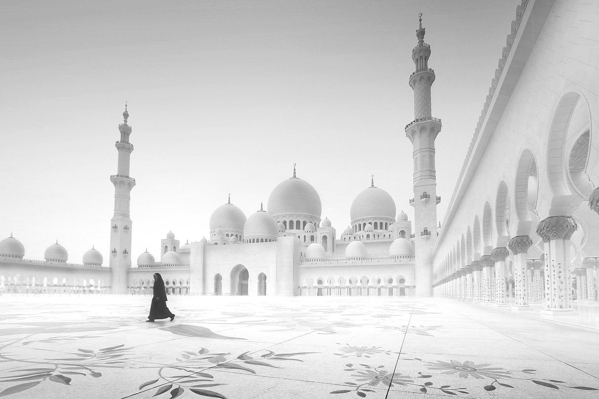 Sheikh Zayed Mosque Poster och Canvastavla