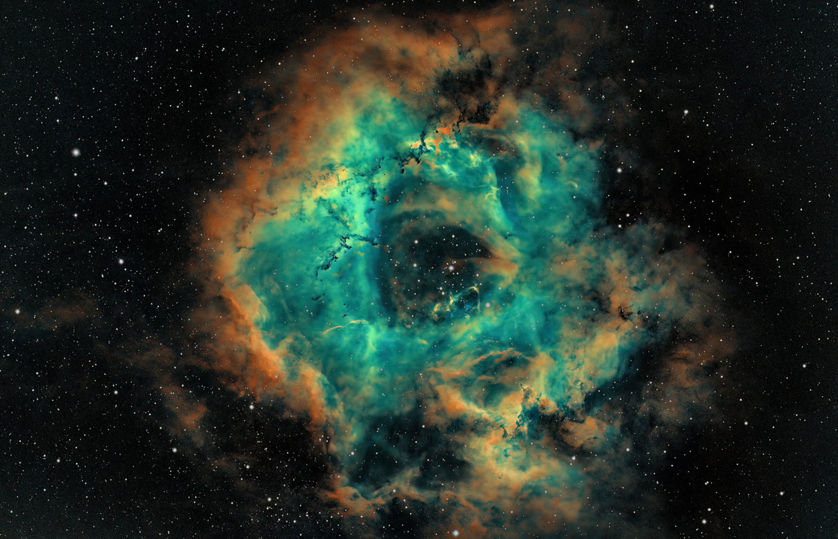 The Rosette Poster och Canvastavla