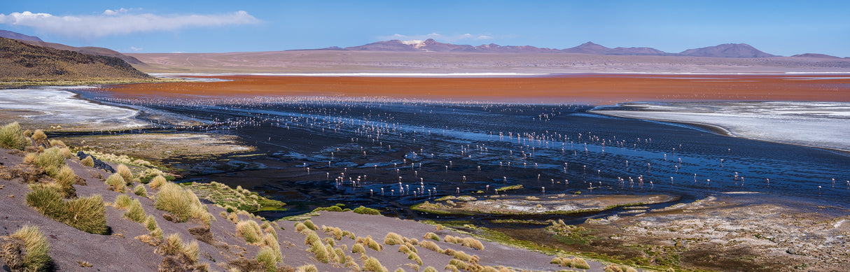 Laguna colorada Poster och Canvastavla