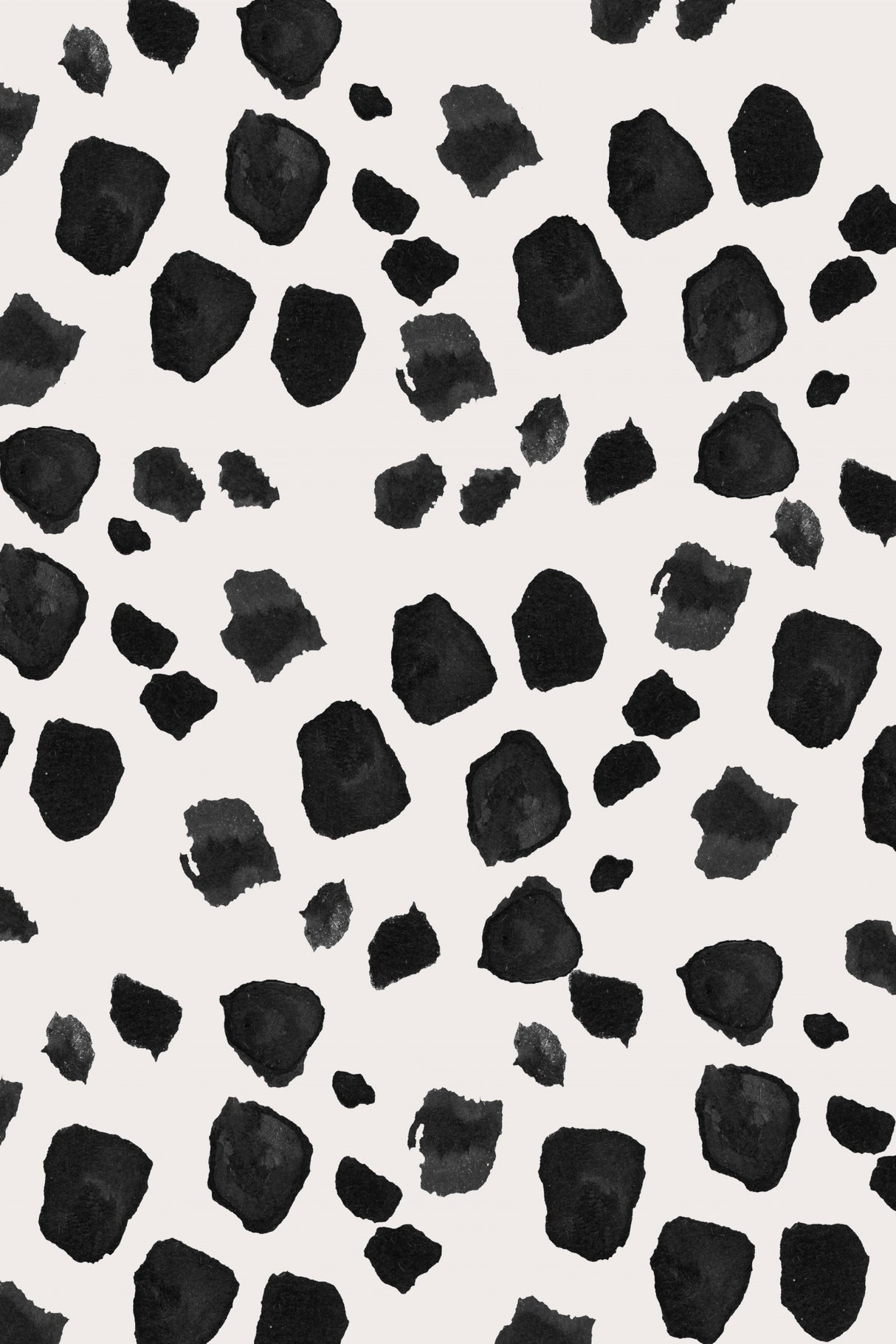 Love Black Poster och Canvastavla