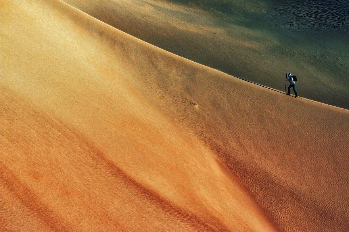 Walking on the Mars Poster och Canvastavla