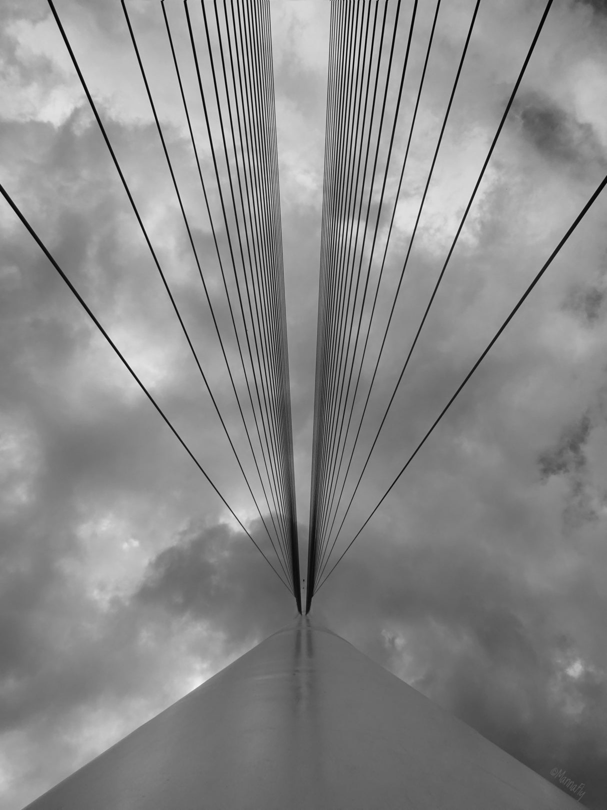 Lines Poster och Canvastavla