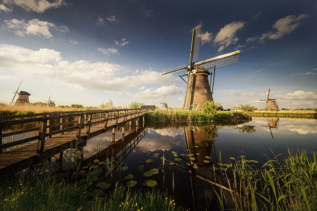 Postcards from Kinderdijk Poster och Canvastavla
