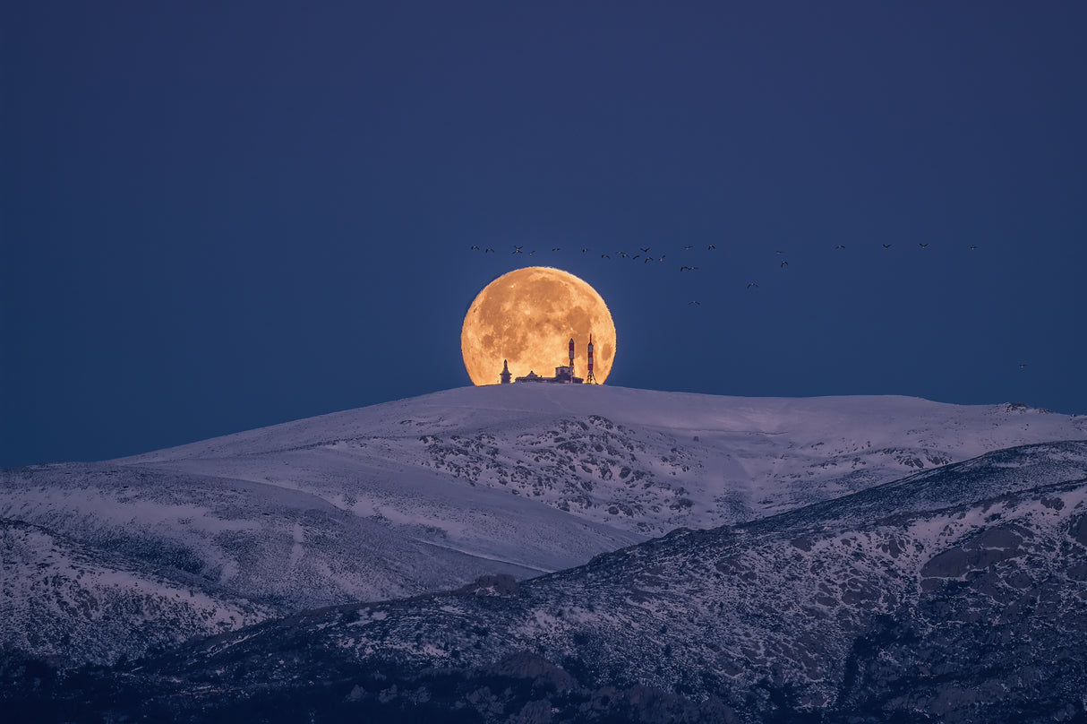 SNoW & MooN Poster och Canvastavla