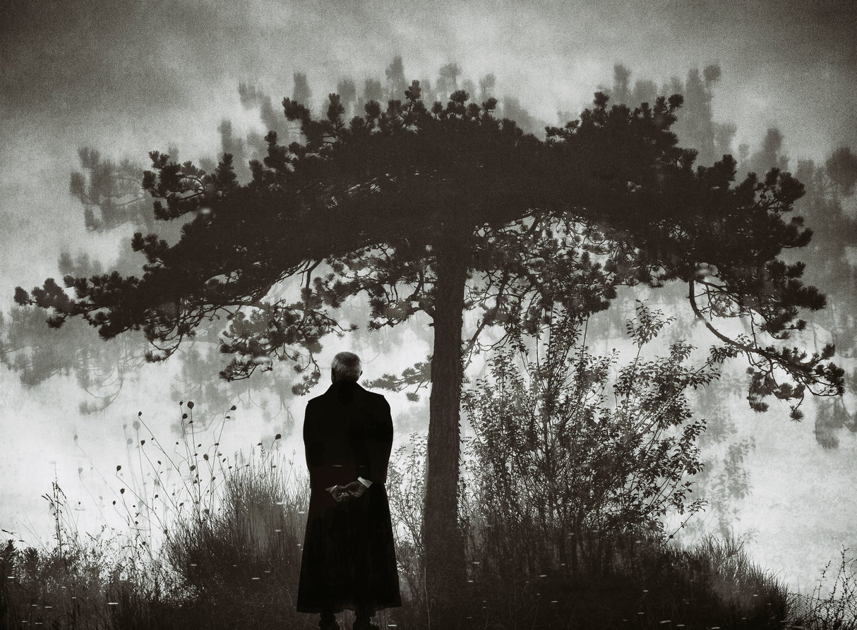 Contemplation Poster och Canvastavla
