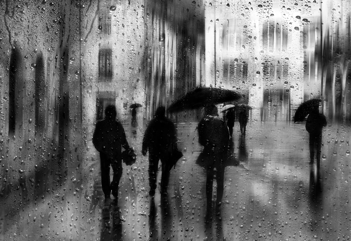 Rainy days Poster och Canvastavla